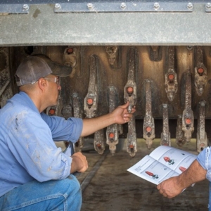 LWS: Inspectors CSA (ENG)